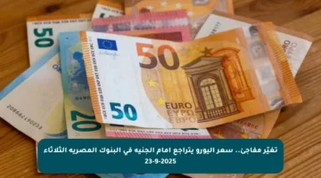 تغيّر مفاجئ.. سعر اليورو يتراجع أمام الجنيه في البنوك المصرية الثلاثاء 23-9-2025